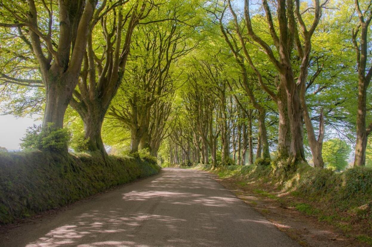 オークハンプトン Knole Farm Bed & Breakfast エクステリア 写真