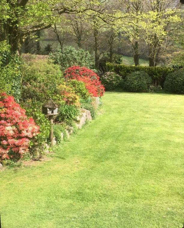 オークハンプトン Knole Farm Bed & Breakfast 部屋 写真